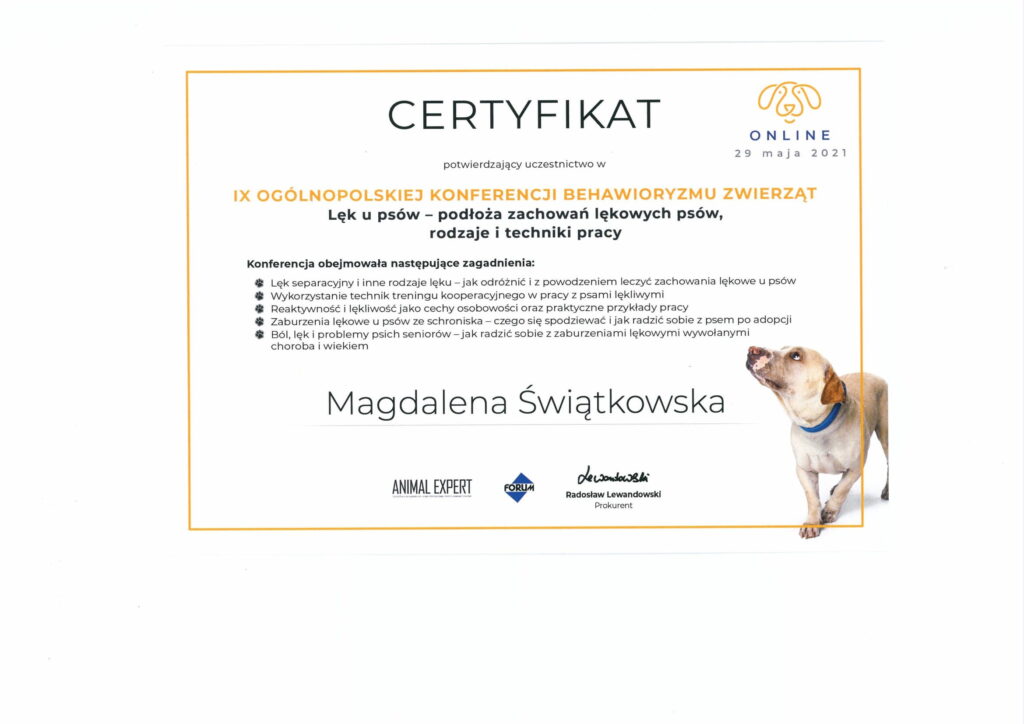 Certyfikowany Behawiorysta