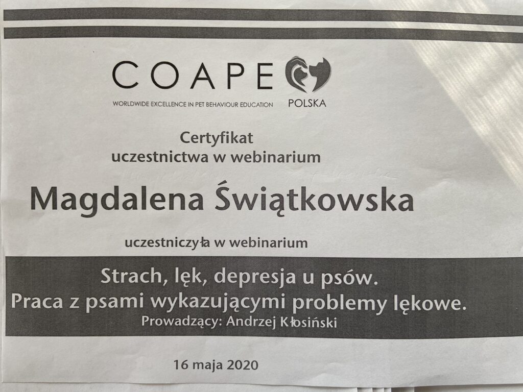 Certyfikat Problemy lękowe psów