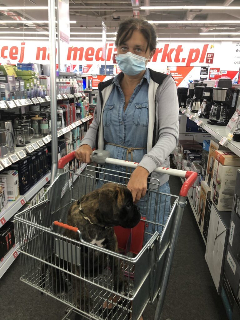 Socjalizacja w Media Markt