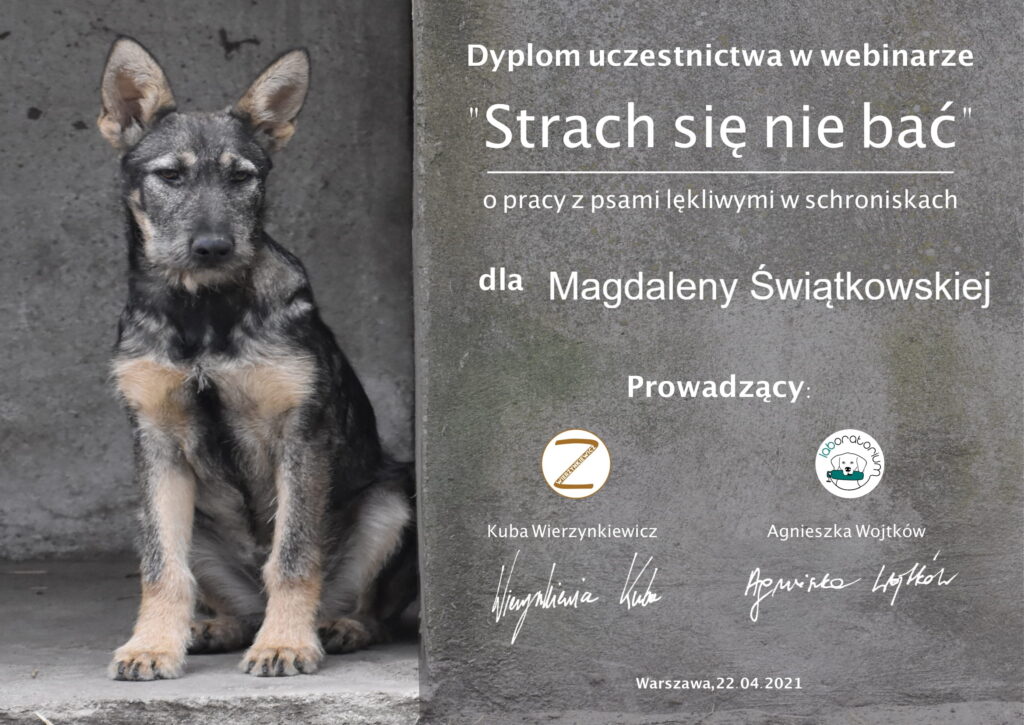 Certyfikowany Behawiorysta