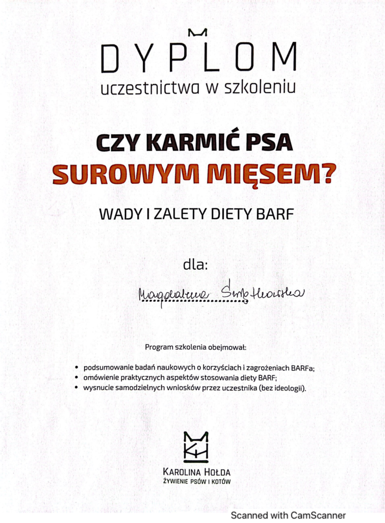 Czy karmić psa surowym mięsem? - Dyplom