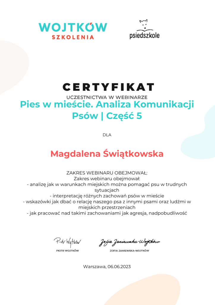 Pies w mieście